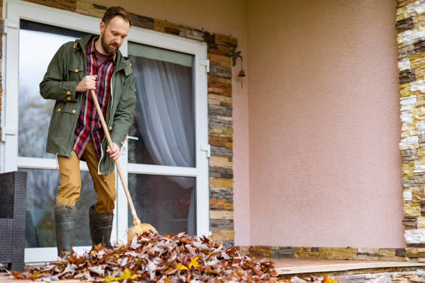 Best Junk Hauling Services  in Ferndale, MD